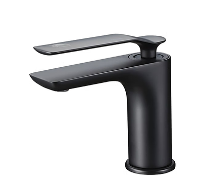 100538MB 面盆龍頭(霧黑色)